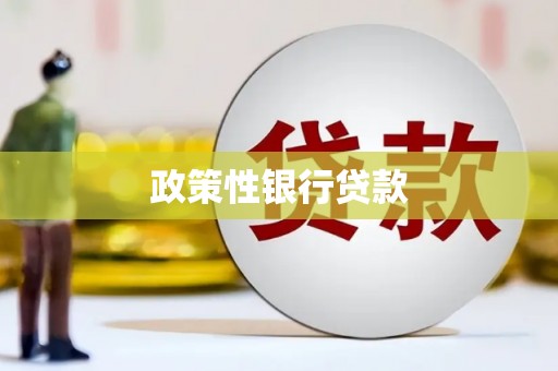 酒泉政策性银行贷款