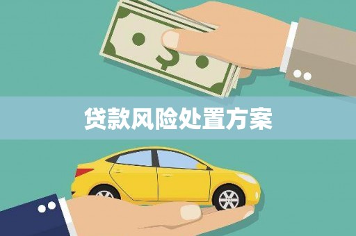 酒泉贷款风险处置方案