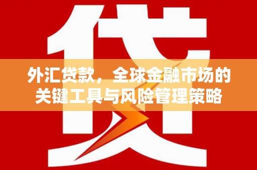 酒泉外汇贷款，全球金融市场的关键工具与风险管理策略