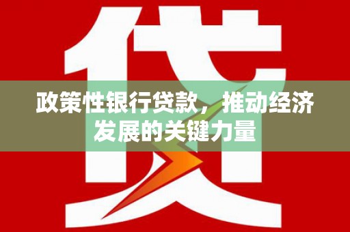 酒泉政策性银行贷款，推动经济发展的关键力量