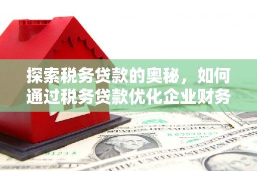 酒泉探索税务贷款的奥秘，如何通过税务贷款优化企业财务