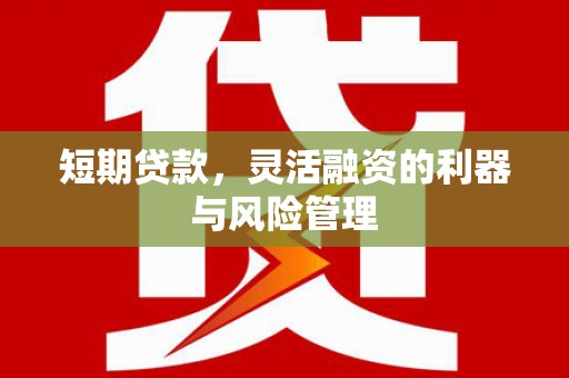 酒泉短期贷款，灵活融资的利器与风险管理