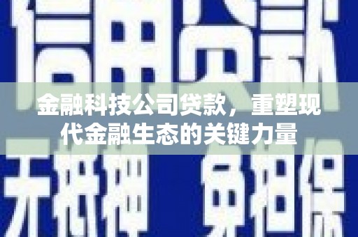 酒泉金融科技公司贷款，重塑现代金融生态的关键力量