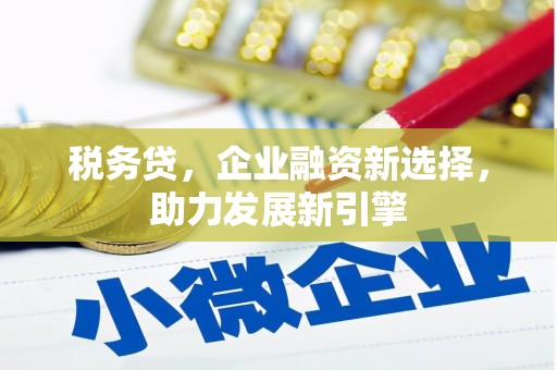 酒泉税务贷，企业融资新选择，助力发展新引擎