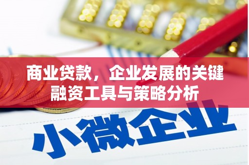 酒泉商业贷款，企业发展的关键融资工具与策略分析