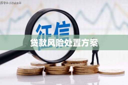 酒泉贷款风险处置方案