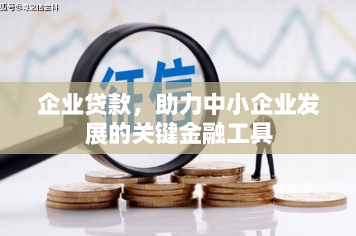 酒泉企业贷款，助力中小企业发展的关键金融工具