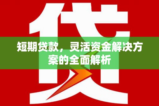 酒泉短期贷款，灵活资金解决方案的全面解析