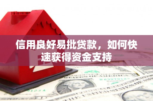 酒泉信用良好易批贷款，如何快速获得资金支持