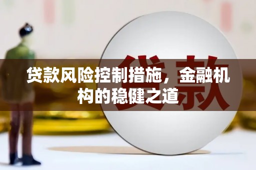 酒泉贷款风险控制措施，金融机构的稳健之道