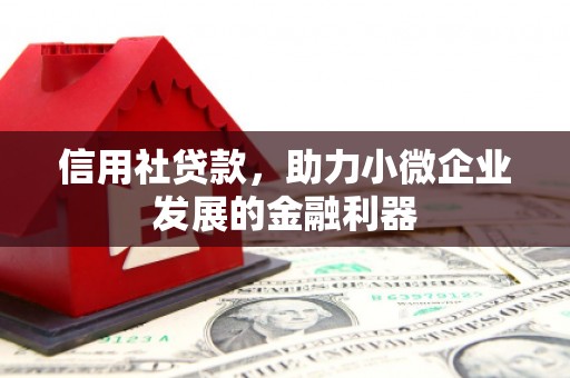 酒泉信用社贷款，助力小微企业发展的金融利器