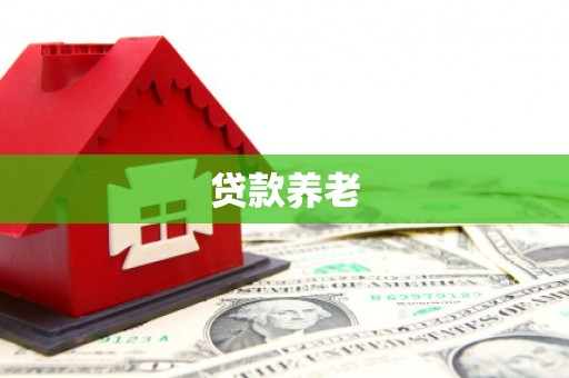 酒泉贷款养老