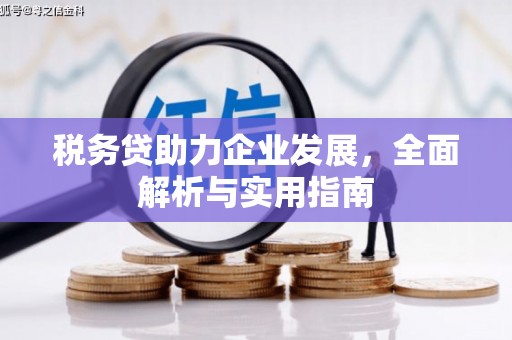 酒泉税务贷助力企业发展，全面解析与实用指南
