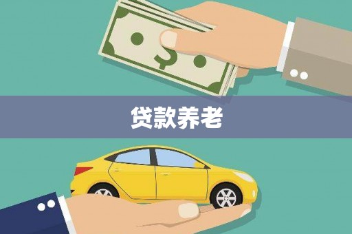 酒泉贷款养老