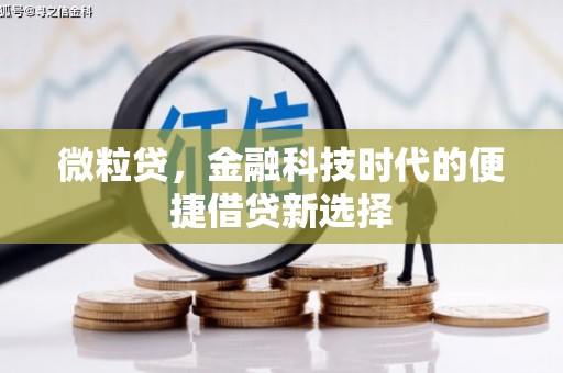 酒泉微粒贷，金融科技时代的便捷借贷新选择