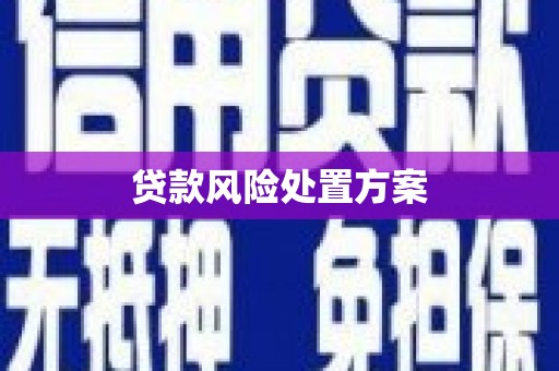 酒泉贷款风险处置方案