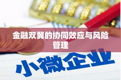 酒泉金融双翼的协同效应与风险管理